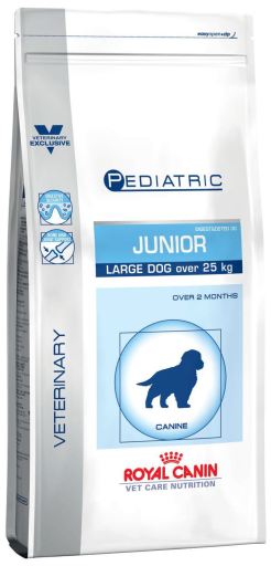 pediatric junior large dog