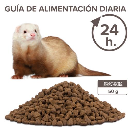 beaphar ferret food