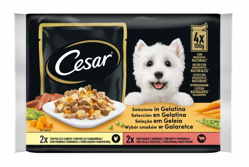 Cesar Comida H&uacute;meda Perros Multipack Selecci&oacute;n de Carnes Mixtas en Gelatina