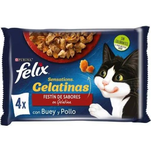 Felix sensations crunchies cat hot sale food