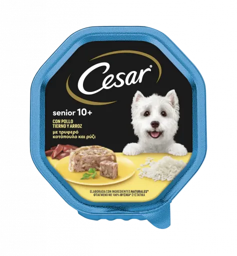 Cesar Comida H&uacute;meda para Perros Senior en Pat&eacute; con Pollo y Arroz Tarrina
