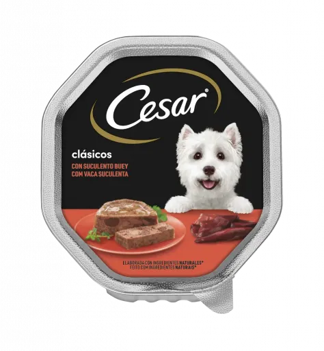 Cesar Comida H&uacute;meda para Perros Sabor Buey en Pat&eacute; Tarrina