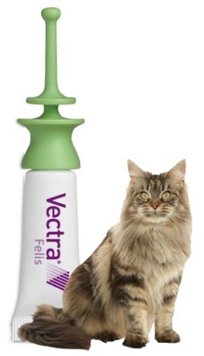Pipettes Antiparasitaires Pour Chats Belgie