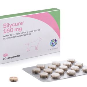 Silycure 160 mg 30 comprimidos Silycure 160 mg 30 comprimidos