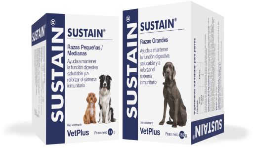 Sustain For Intestinal Problems In Small And Medium Dogs