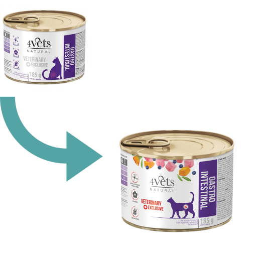 4 Vets Natural Veterinary Diet Gastrointestinal Gato