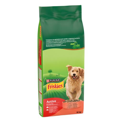 Purina Friskies Cibo Secco Active Carne
