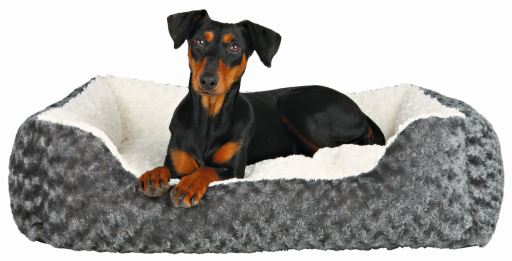 Hunter Dog Sofa Gent Antibac - Accessoire pour chien, Achat en ligne