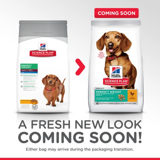 Hill's Science Plan Small & Mini Adult Perfect Weight com Frango Hill's Science Plan Small & Mini Adult Perfect Weight com Frango