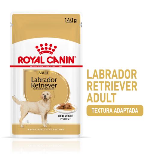 Royal Canin Labrador Adult
