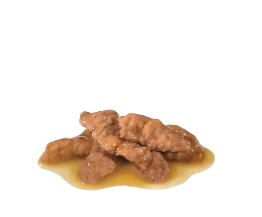 Royal Canin Indoor Comida H&uacute;meda en Salsa para Gato Adulto de Interior