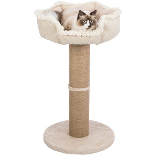 Cat scratching post with bed best sale