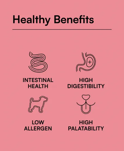 Hantu Nourriture humide au poulet et &agrave; la dinde avec carottes et courgettes pour chien adulte