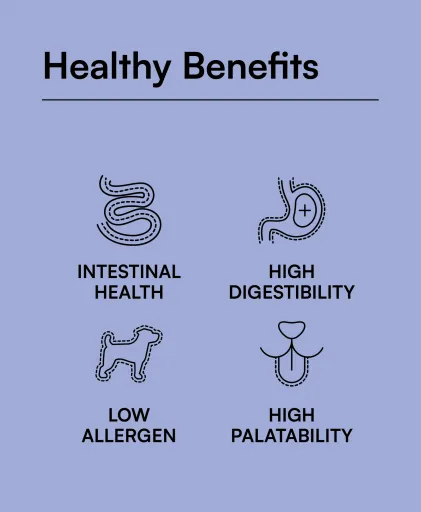 Hantu Alimento umido per pesci oceanici con zucca e piselli per cani adulti