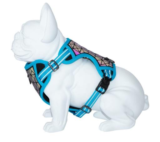 Freedog Boreal Blue Capri Dog Harness