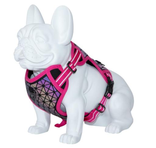 Freedog Boreal Fuchsia Harness