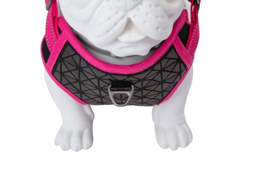 Freedog Boreal Fuchsia Harness