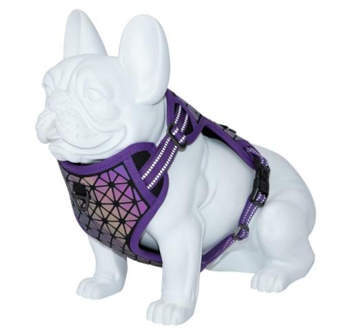 Freedog Arn&eacute;s Boreal Lila para Perros 