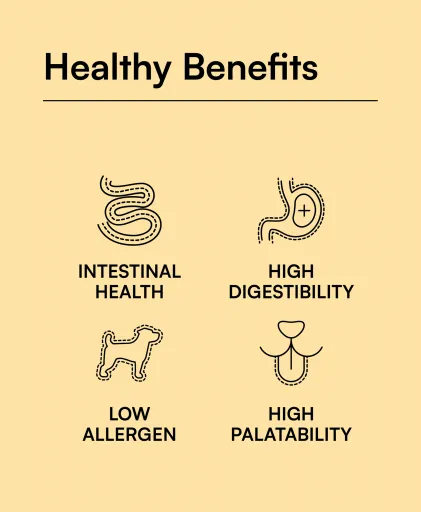 Hantu Kitten Chicken