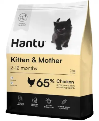 Hantu Kitten Chicken