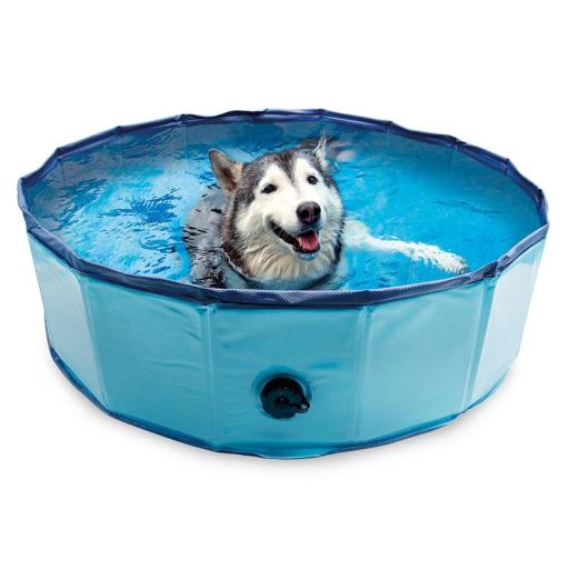 Arquivet Piscina para Perros