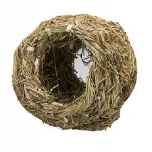 Panama Pet 