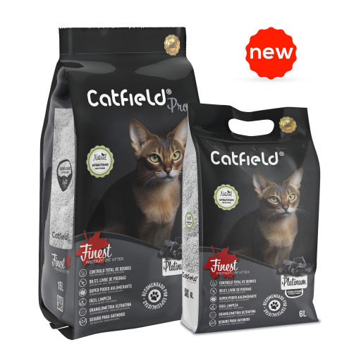 Catfield 