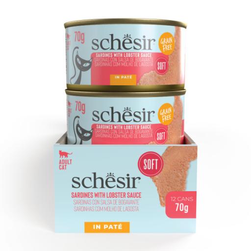 Schesir 