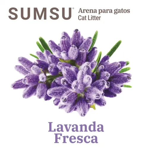 SUMSU 