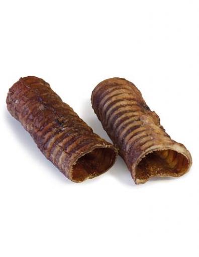 Arquivet Traqueia Natural