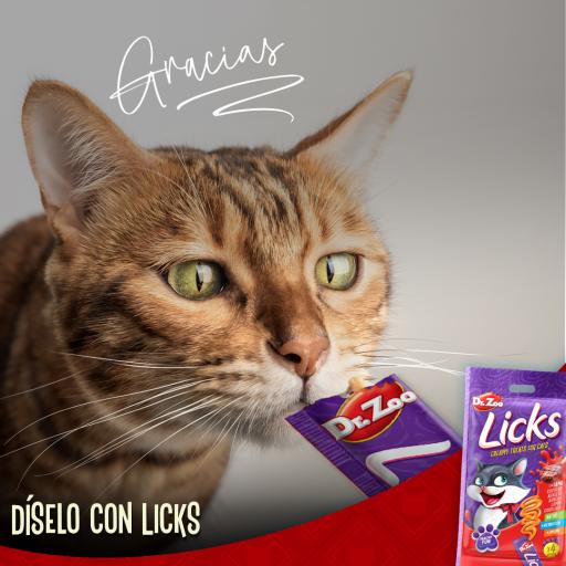 Dr. Zoo Snack L&iacute;quido Licks de Cordero para Gatos