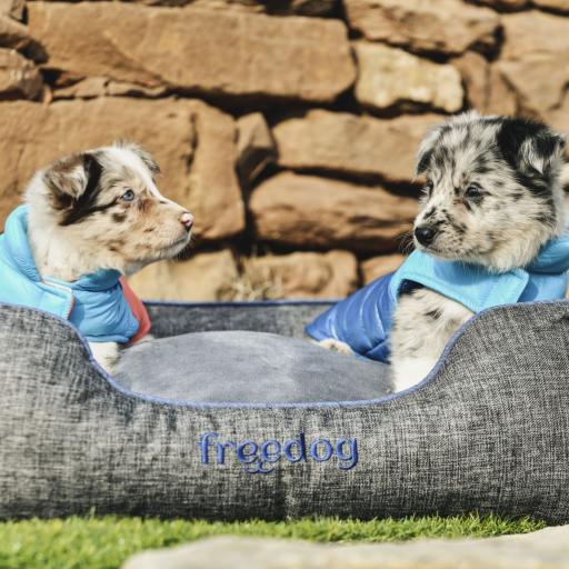 Freedog Abrigo Pup Hound Azul para Perro
