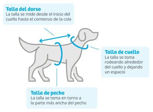 Freedog Diamond Sweater Blue