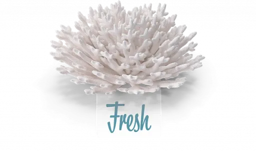 Catfield Areia para gato Elements Fresh