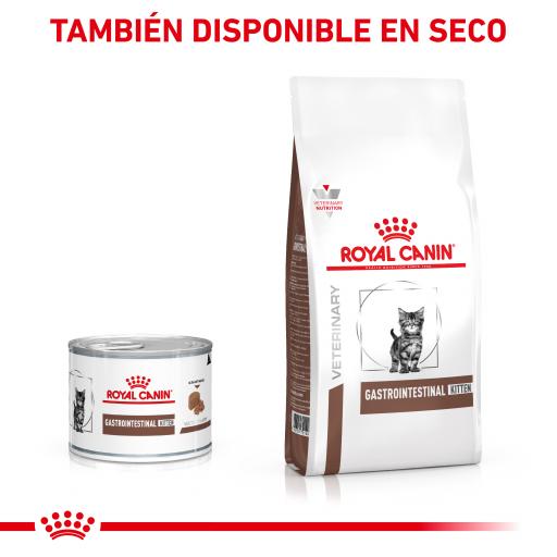 Royal Canin Gastro Intestinal Kitten