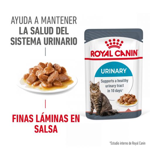 Royal Canin Urinary Care Comida H&uacute;meda en Gelatina para el Cuidado Urinario en Gato Adulto