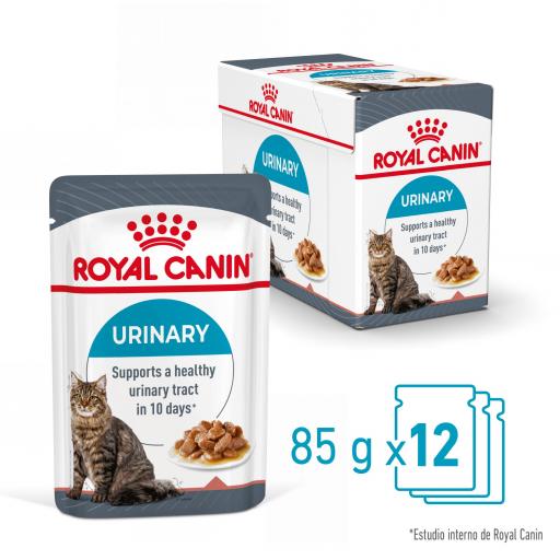 Royal Canin Urinary Care Comida H&uacute;meda en Gelatina para el Cuidado Urinario en Gato Adulto