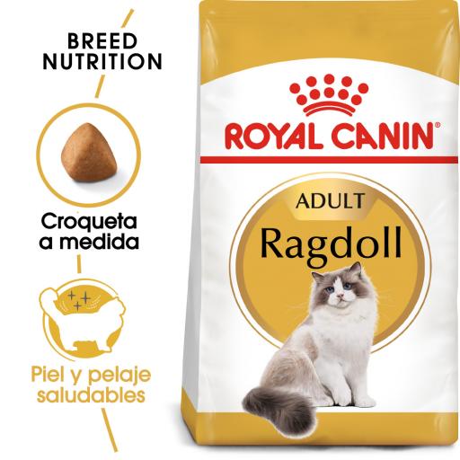 Royal Canin Pienso Ragdoll Adulte para Gatos