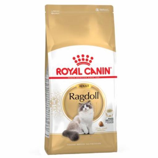 Royal Canin Pienso Ragdoll Adulte para Gatos