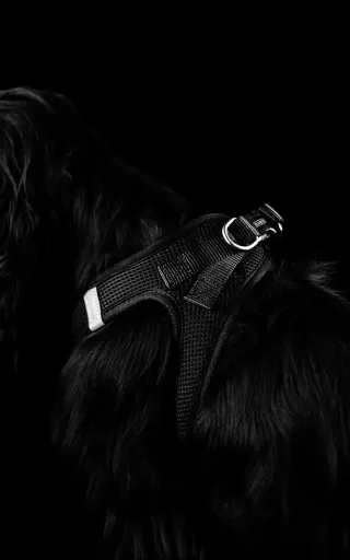 Dashi Peitoral Oxy Mesh Solid Preto para C&atilde;es