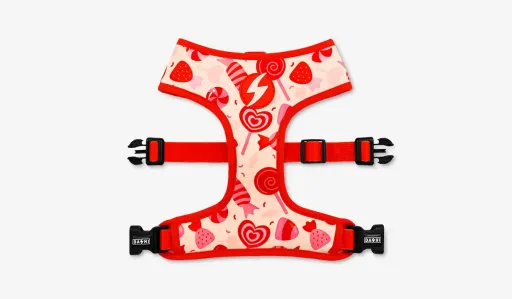 Dashi Peitoral Sprinkle Neo Mesh para C&atilde;es