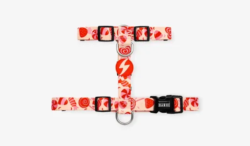 Dashi Arn&ecirc;s Sprinkle Back para C&atilde;es 