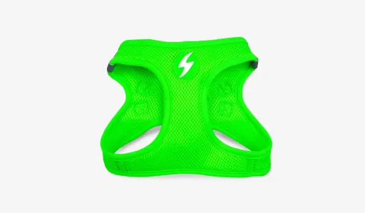 Dashi Peitoral Verde Neon para C&atilde;es