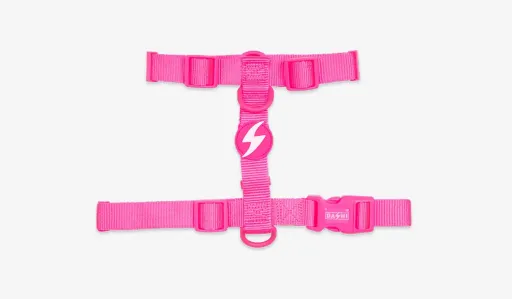 Dashi Arn&ecirc;s Rosa Neon para C&atilde;es