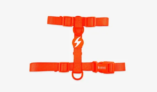 Dashi Arn&ecirc;s Laranja Neon para C&atilde;es