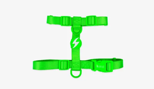 Dashi Arn&ecirc;s Verde Neon para C&atilde;es