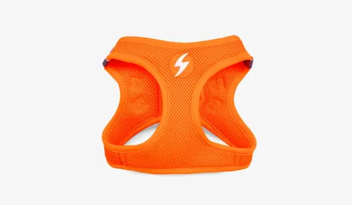 Dashi Peitoral Laranja Neon para C&atilde;es
