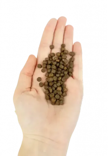 Lenda Comida para gatinhos sem gr&atilde;os de aves e peixes