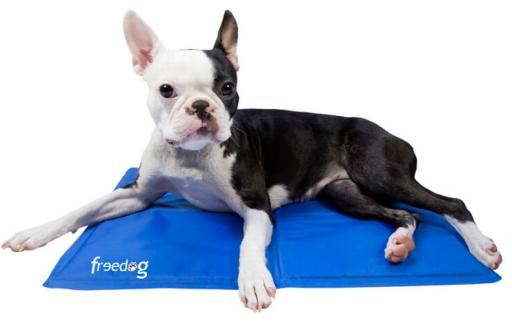 Freedog Refreshing Blanket