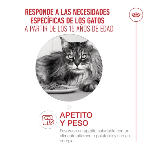 Royal Canin Ageing 15+ Wet Food in Gravy for Senior Cats
